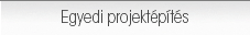 Egyedi projektépítés